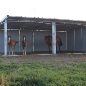 12 x 24 Open Front and Open Left End