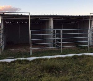 12x24 Shelter with 5 Rail Paddock