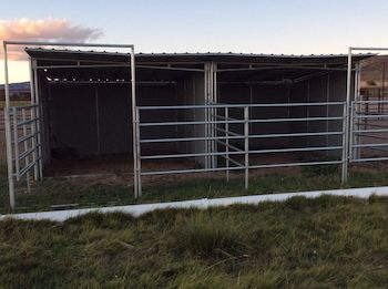 12x24 Shelter with 5 Rail Paddock
